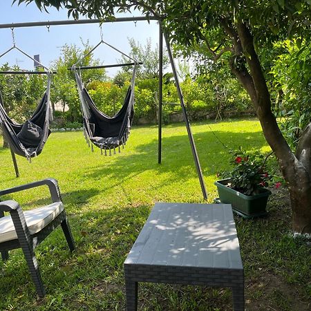 B&B Da Francesco パエストゥム エクステリア 写真